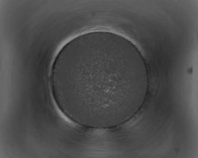 X0000091701519200708241211