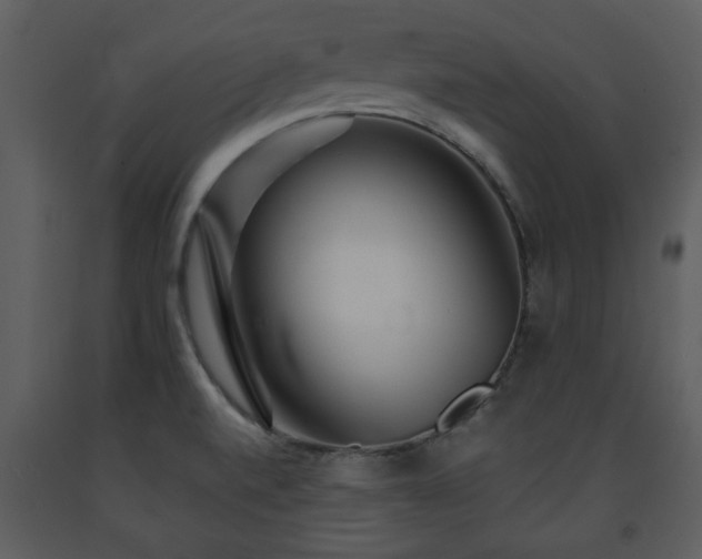 X0000091701520200708241211