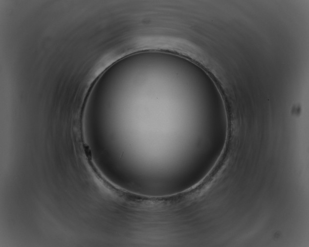 X0000091701521200708241211