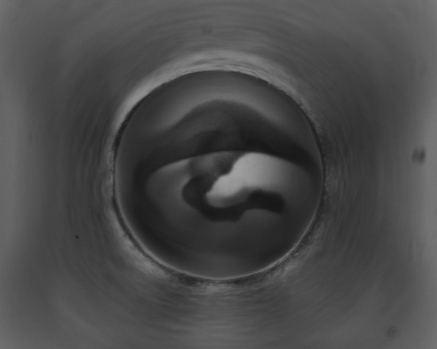 X0000091701522200708241211