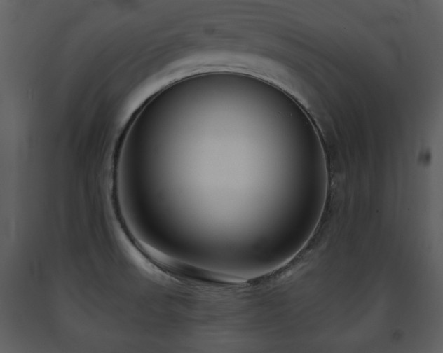X0000091701523200708241211