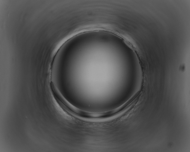 X0000091701524200708241211