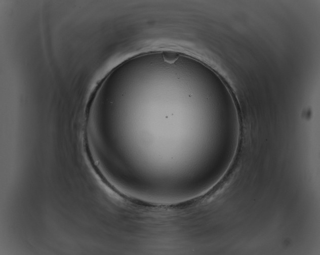 X0000091701525200708241211