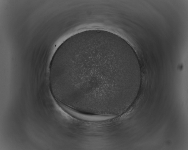 X0000091701527200708241211