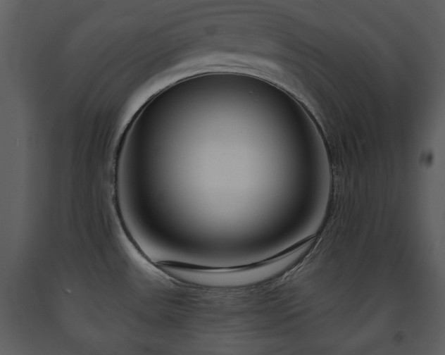 X0000091701531200708241211