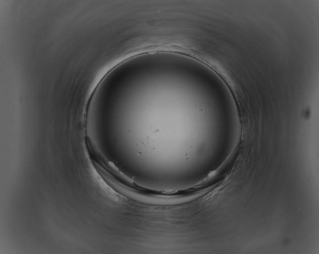 X0000091701532200708241211