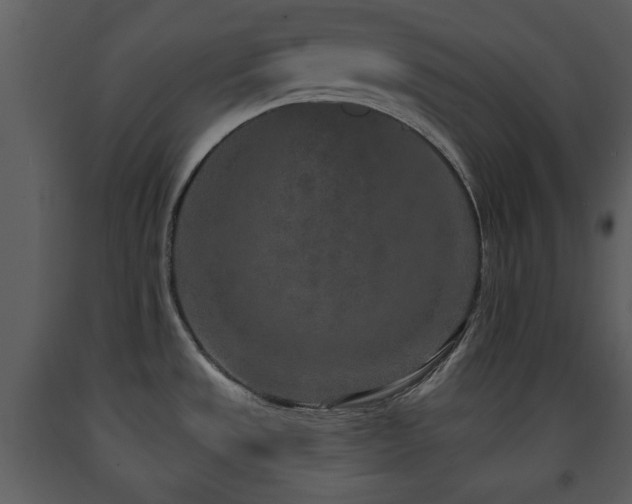 X0000091701533200708241211