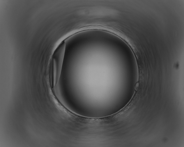 X0000091701534200708241211