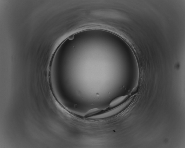 X0000091701535200708241211