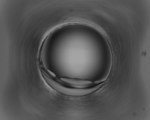 X0000091701536200708241211