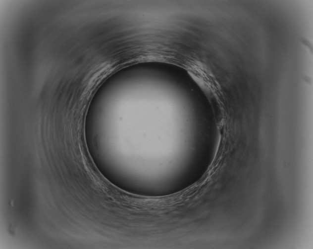 X0000091700001200708311103