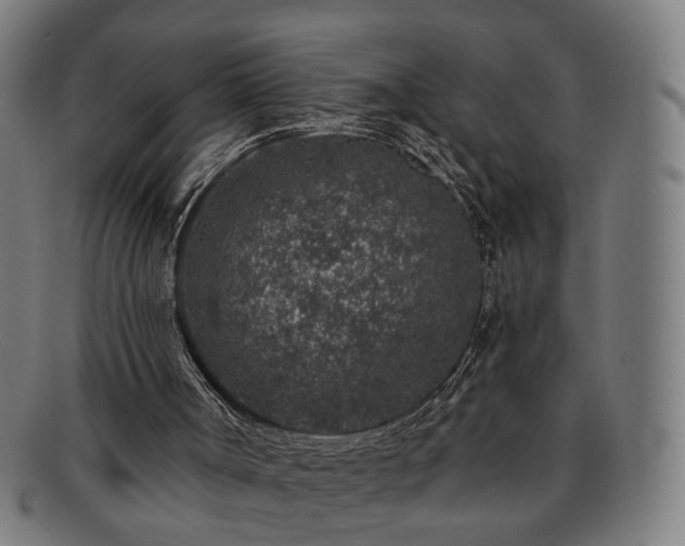 X0000091700002200708311103