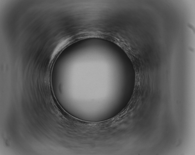 X0000091700004200708311103
