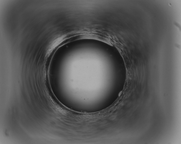 X0000091700005200708311103