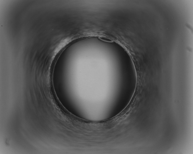 X0000091700008200708311103