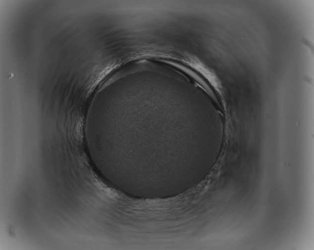 X0000091700009200708311103