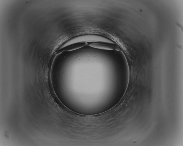 X0000091700010200708311103