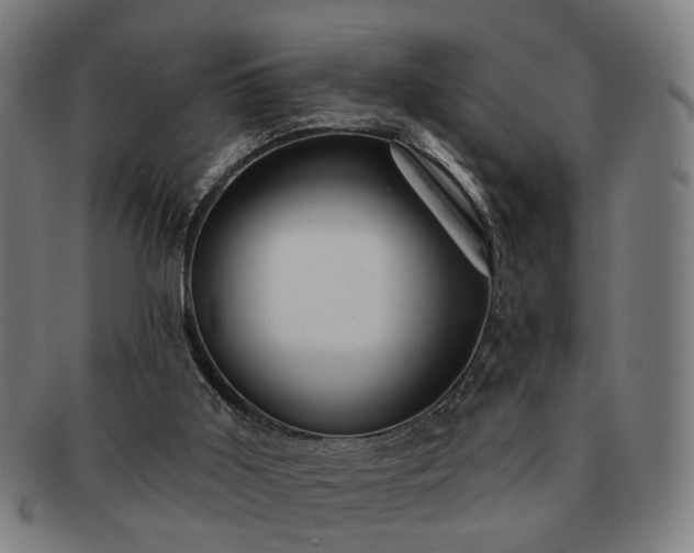 X0000091700011200708311103