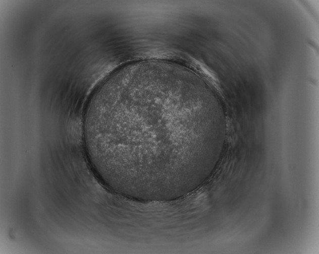 X0000091700012200708311103