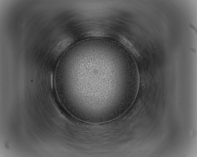 X0000091700014200708311103