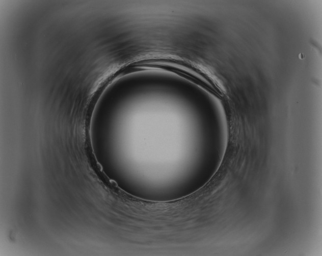 X0000091700015200708311103