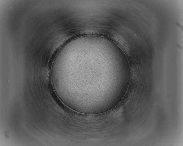 X0000091700016200708311103