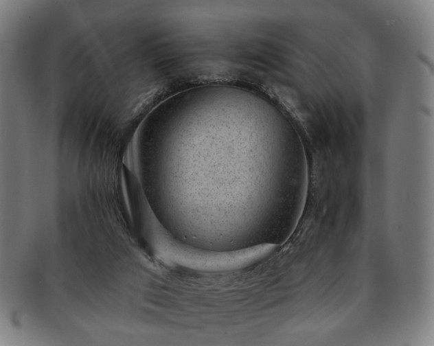 X0000091700017200708311103