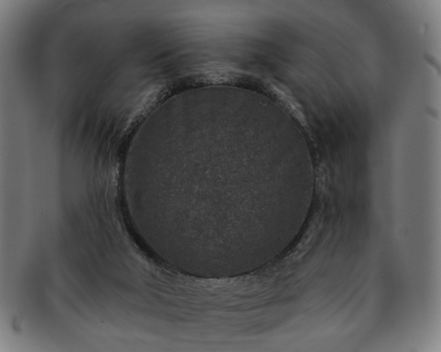 X0000091700018200708311103