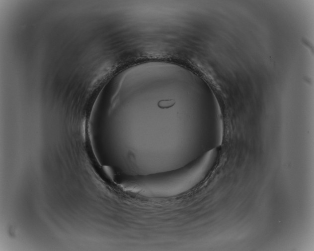 X0000091700019200708311103