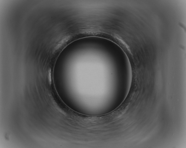 X0000091700020200708311103