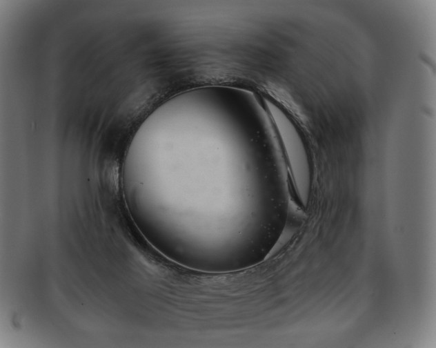 X0000091700021200708311103