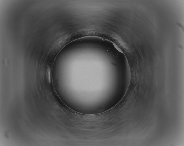 X0000091700022200708311103