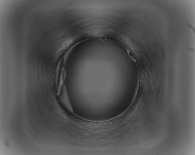 X0000091700023200708311103