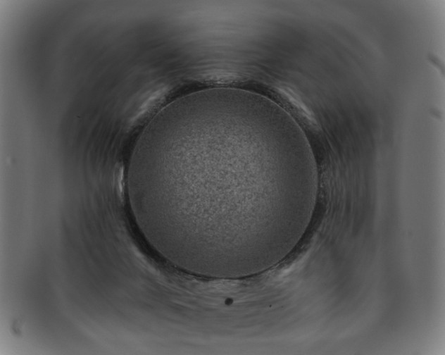 X0000091700024200708311103