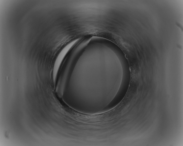 X0000091700027200708311103