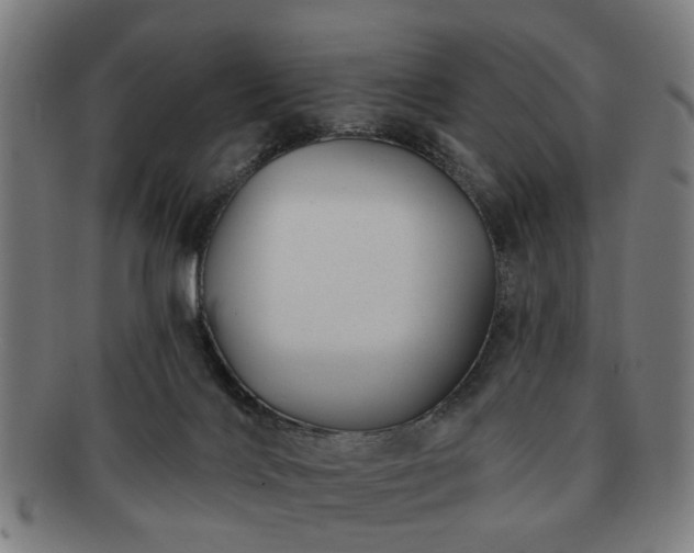 X0000091700028200708311103