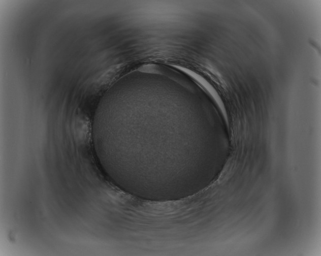 X0000091700029200708311103