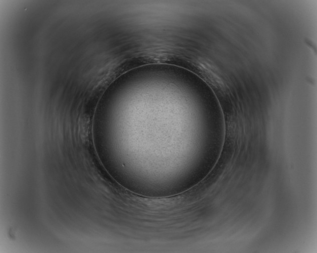 X0000091700030200708311103