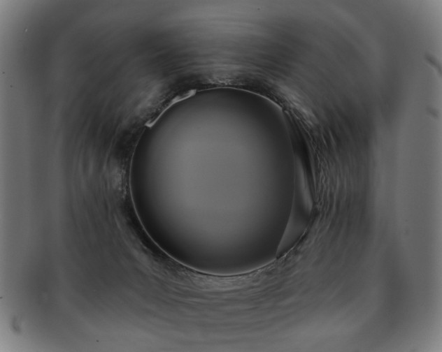 X0000091700031200708311103