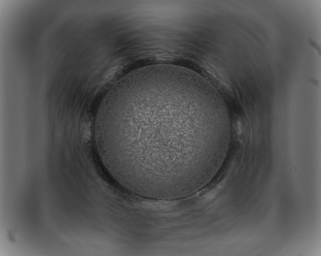 X0000091700032200708311103