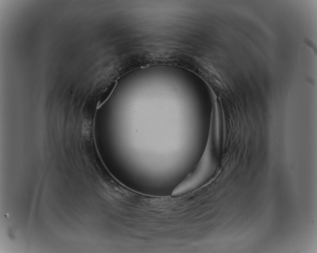 X0000091700033200708311103