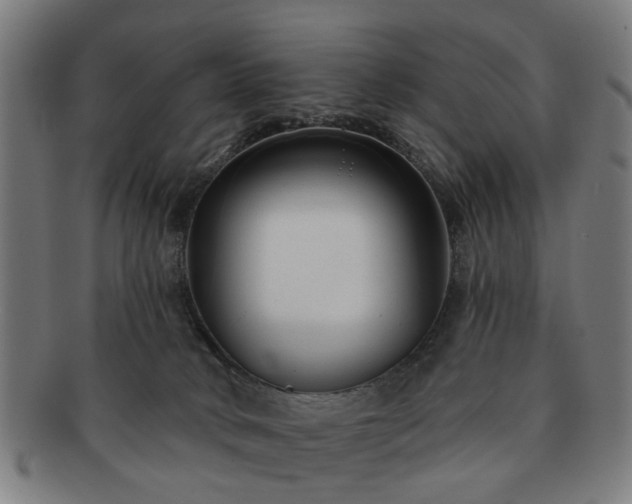 X0000091700034200708311103