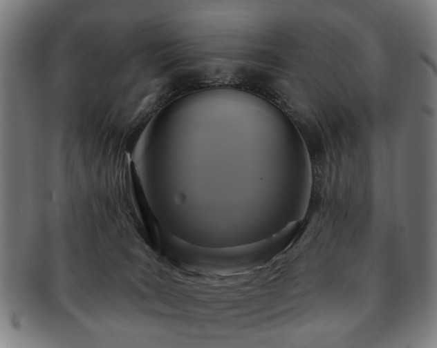 X0000091700035200708311103
