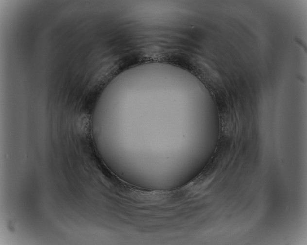 X0000091700036200708311103
