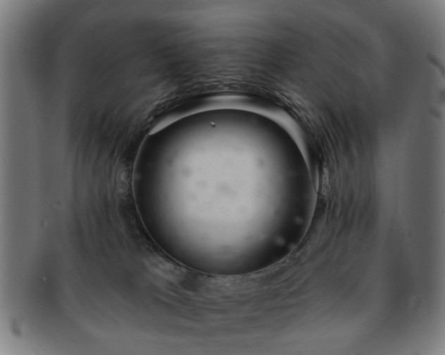X0000091700037200708311103