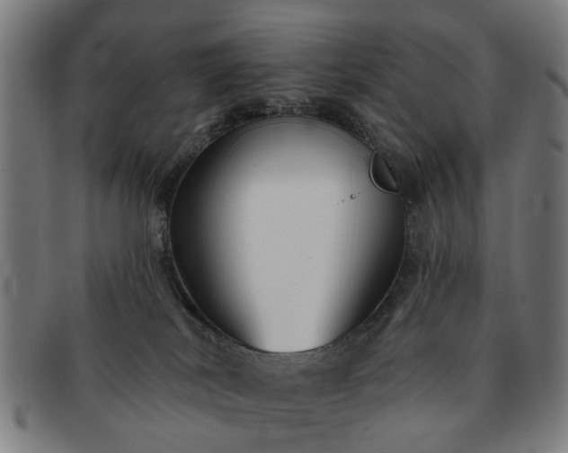 X0000091700038200708311103