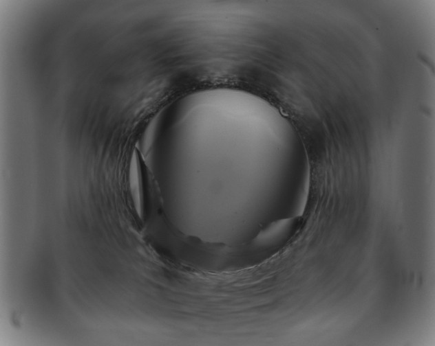 X0000091700039200708311103