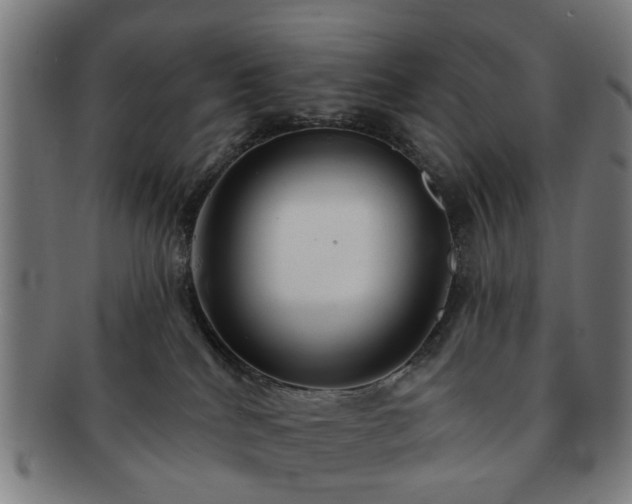 X0000091700040200708311103