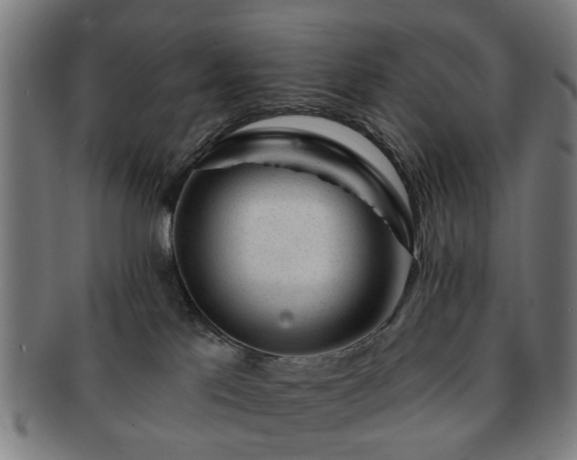 X0000091700041200708311103