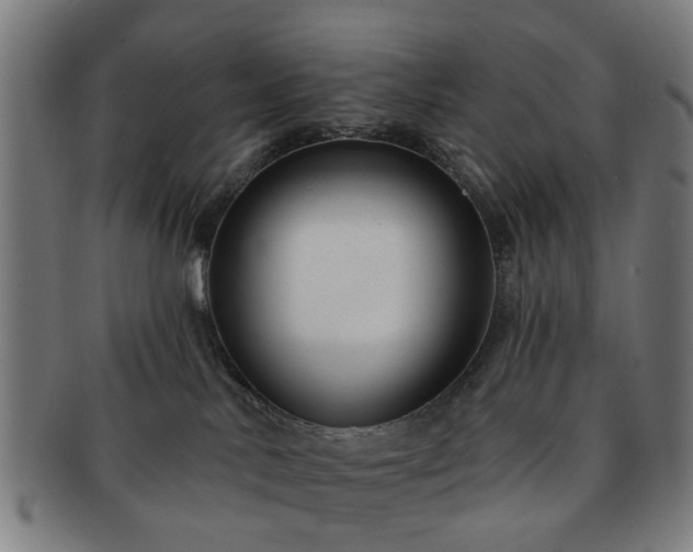 X0000091700042200708311103